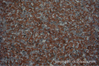 Ultra Large G562 Red Granite Stone Tiles , Granite Bathroom Tiles Hard Texture