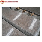 Polished Surface G687 Granite / Natural Granite Steps &amp; Risers 60*60cm