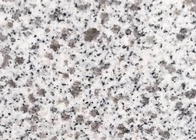 Natural Popular Camellia White G603 Granite For Floor Tile And Stairs