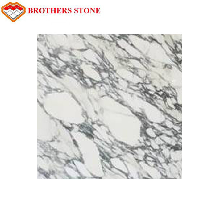 Italy White Marble Stone Arabescato Corchia Marble Slab For Bathroom Basin Countertop