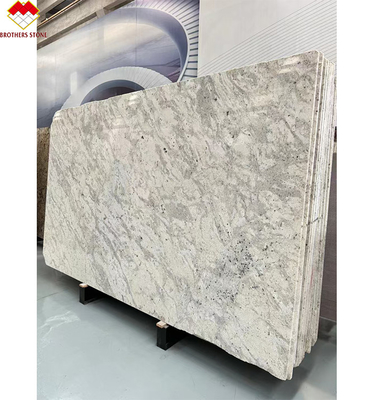 Polished Alaska White Granite Kitchen Countertop Island Wall Flooring Tile 60*60cm