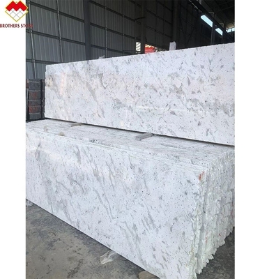 Polished Alaska White Granite Kitchen Countertop Island Wall Flooring Tile 60*60cm