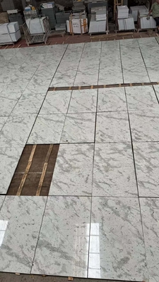 Brazilian Andromeda White Granite Slabs for Countertops Walls Stairs Popular Choice