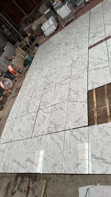 Brazilian Andromeda White Granite Slabs for Countertops Walls Stairs Popular Choice