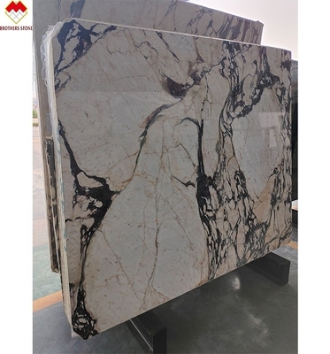 Hotel Decoration Afyon Violet Arabescato Venato Marble Slabs with Calacatta/Calcutta