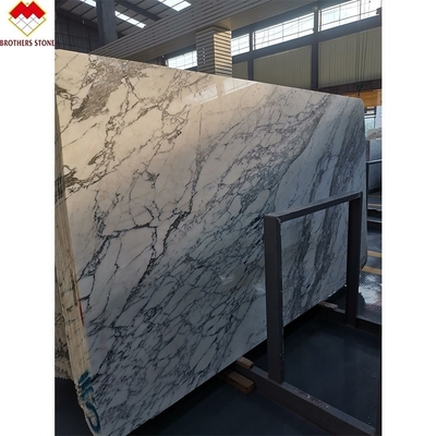 Statuario Venato Marble Italy White Marble Arabescato Marble Stone for Vanity Top