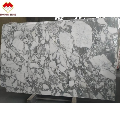 Statuario Venato Marble Italy White Marble Arabescato Marble Stone for Vanity Top