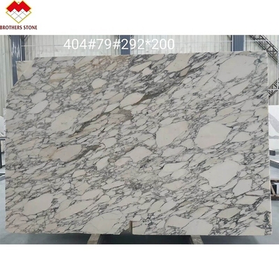 Statuario Venato Marble Italy White Marble Arabescato Marble Stone for Vanity Top