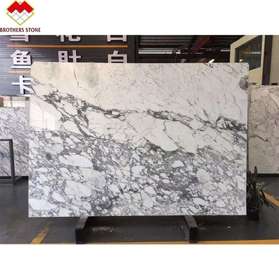 Statuario Venato Marble Italy White Marble Arabescato Marble Stone for Vanity Top