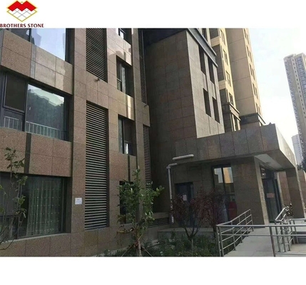 Modern Chinese Flamed Granite for Exterior Interior Wall Cladding Cut-to-Size Big Slab
