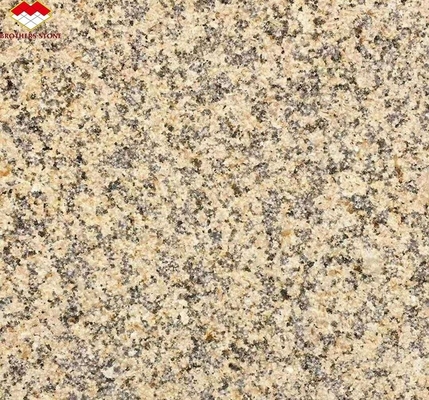 Modern Chinese Flamed Granite for Exterior Interior Wall Cladding Cut-to-Size Big Slab