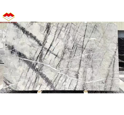 Graphic Design Natural Stone Italian Silver Fir Marble Floor Tile for Living Room