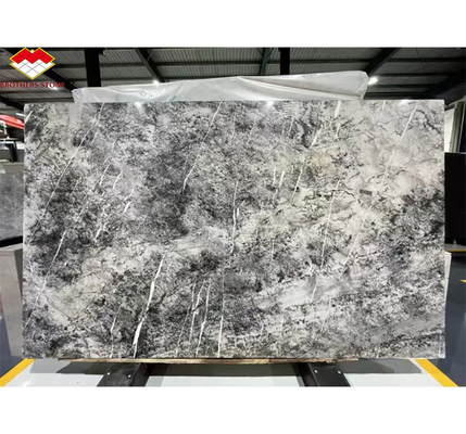 Italian Natural Stone Silver Fir Black Grey Look Marble Textured Slab for Home Wall Panel
