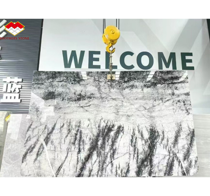 Italian Natural Stone Silver Fir Black Grey Look Marble Textured Slab for Home Wall Panel
