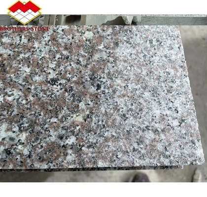 Polished Chinese Granite Stone Name Pink Porino G664 Cut-to-Size Slab for Your Budget
