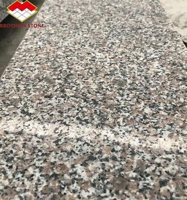 Modern G664 Suppliers Granite Slabs 60x60 Porrno Granite Tiles for Park Graphic Designs