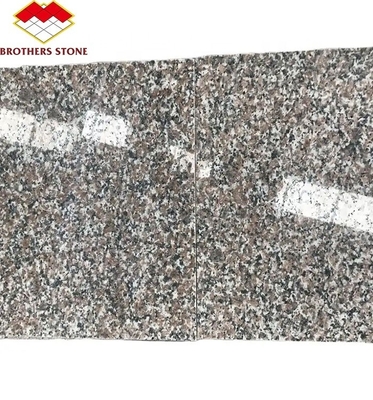 Modern G664 Suppliers Granite Slabs 60x60 Porrno Granite Tiles for Park Graphic Designs
