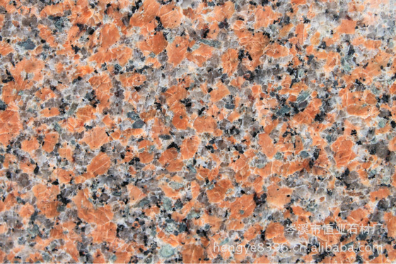 Polished / Honed G562 Granite Stone Tiles , Maple Leaf Red Granite Slab