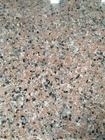 Interior Decoration G635 Granite 60x60 Pink Granite Tile For Wall And Flooring